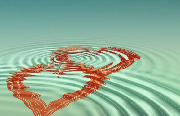 Pocke5 카지노 지원